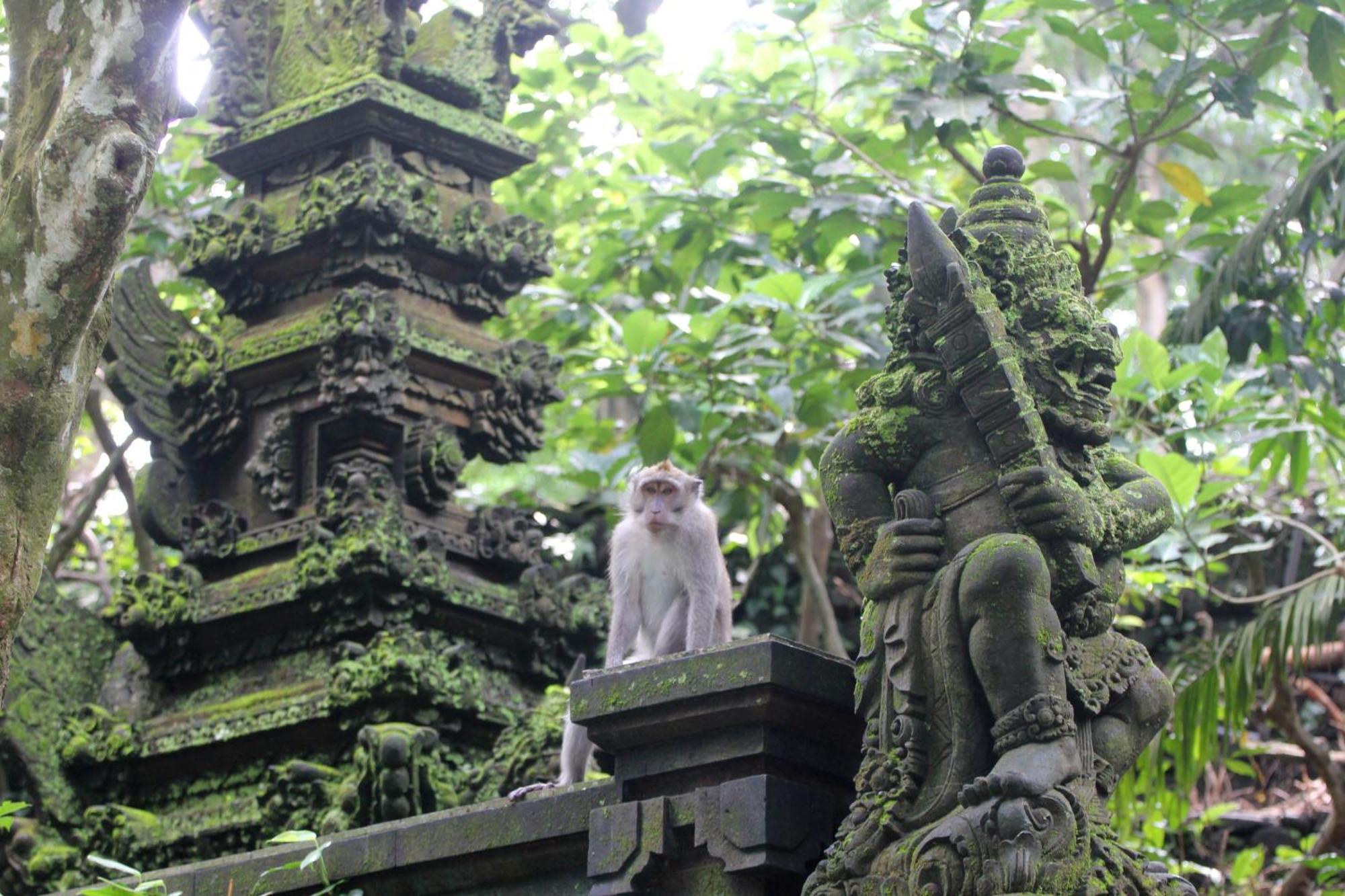Sari Gong Guest House, A Trishula Collection Ubud  Exterior photo